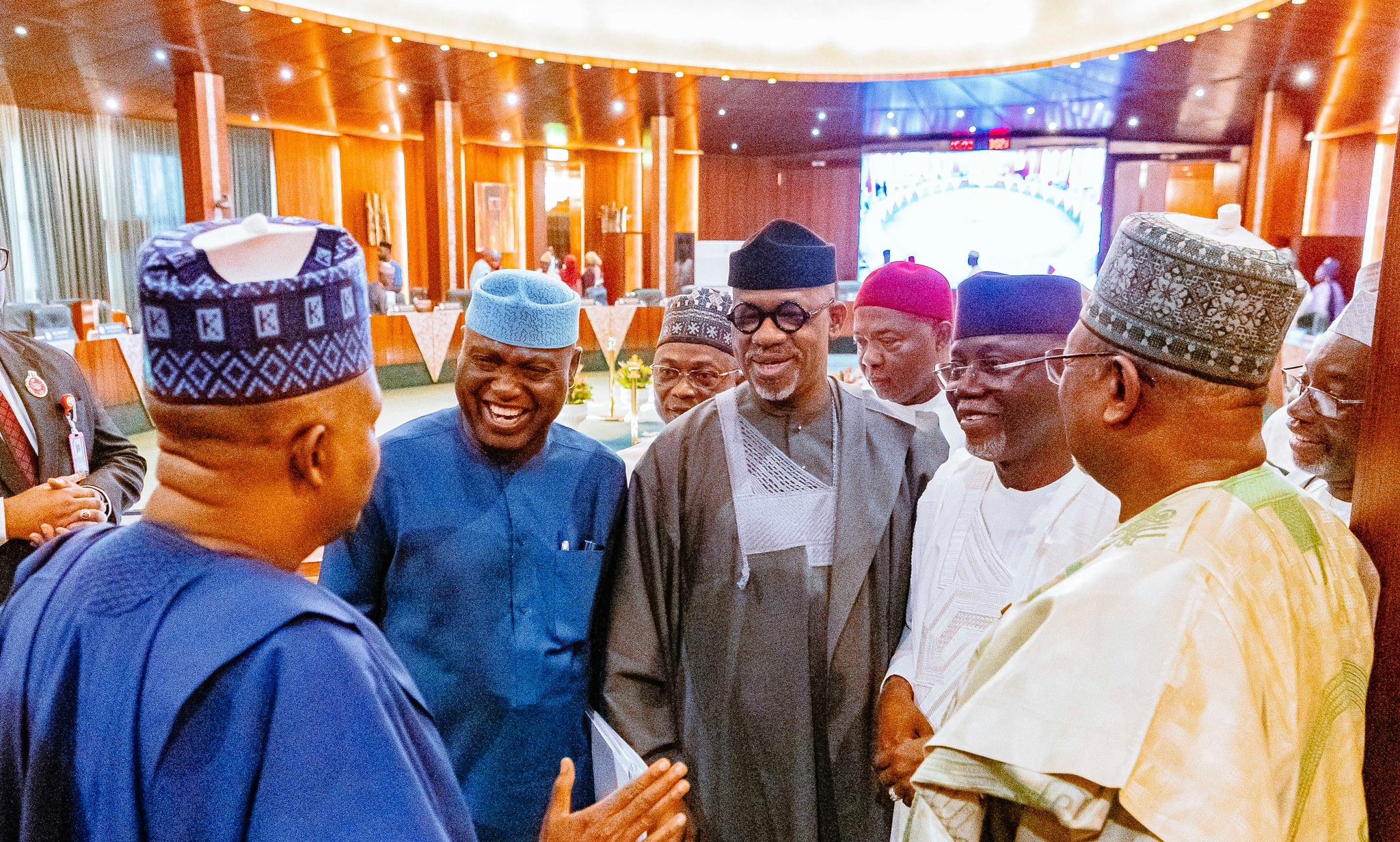 Access to Electricity is Fundamental Right not a Privilege - Shettima