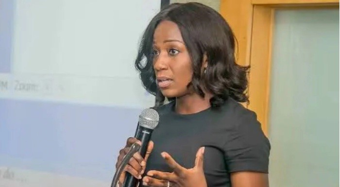 Affordable Energy: Nigeria to play a Key Role in Africa, says Tinubu's  Energy Adviser