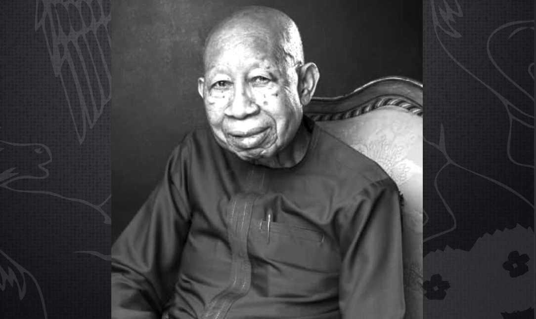 Tinubu mourns Dozie, says he was a 'Rare Breed Business Leader'