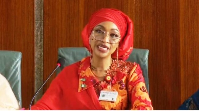 I will contribute $100bn to Nigeria's Economy by 2030, Minister boasts
