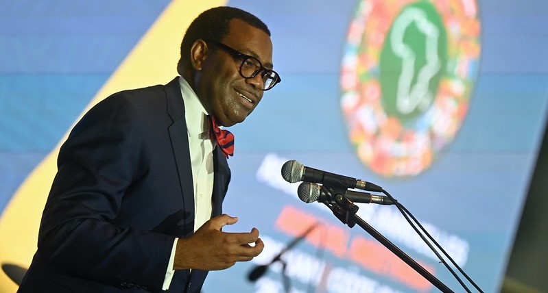 My hair now several shades of grey, says Adesina on 10 years as AfDB President