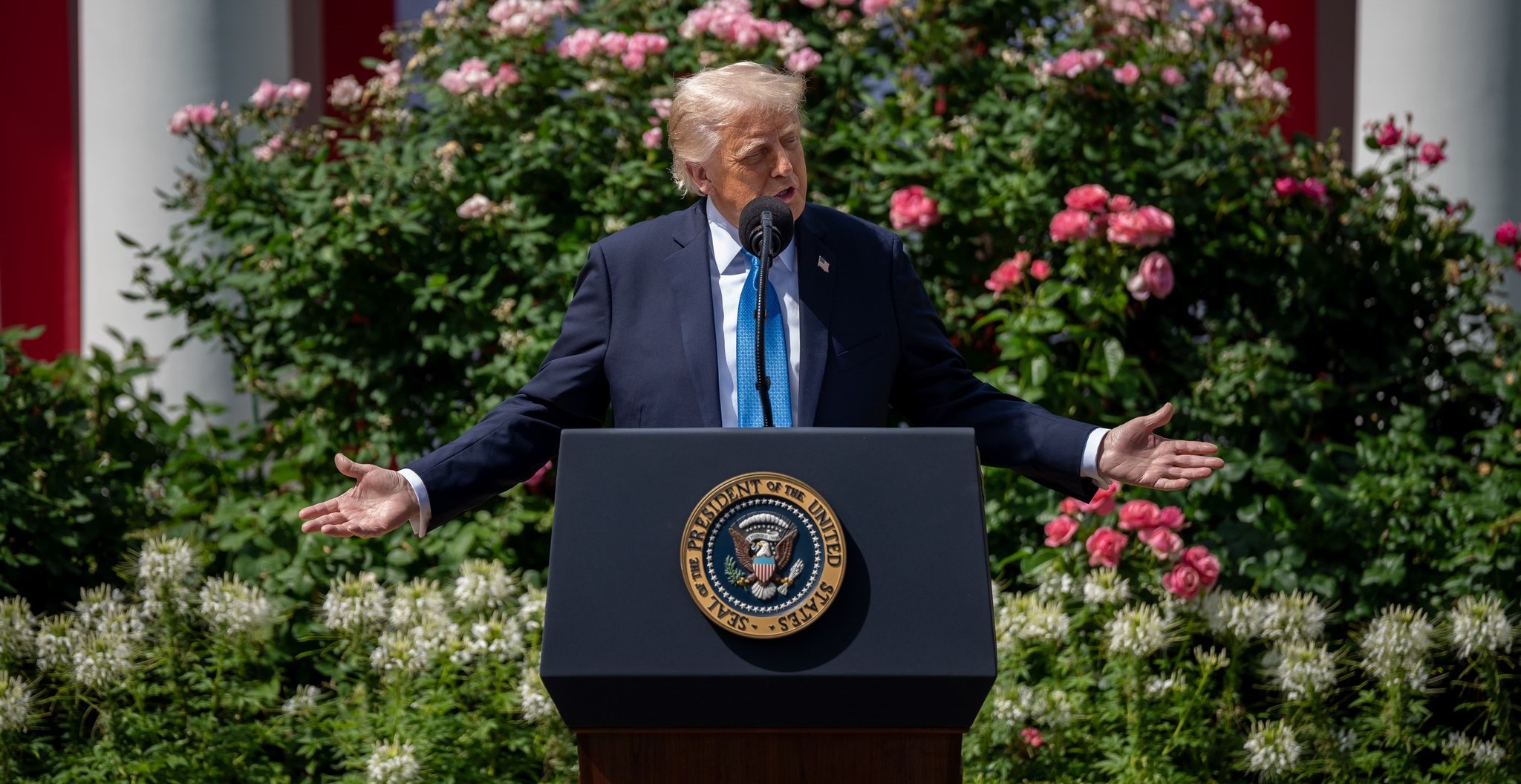 Trump stops Citizens of 12 Countries 'who wish to do us harm' from entering U.S