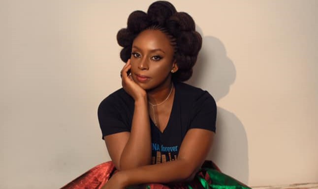 Lagos probes Hospital over Death of Chimamanda Adichie's Son
