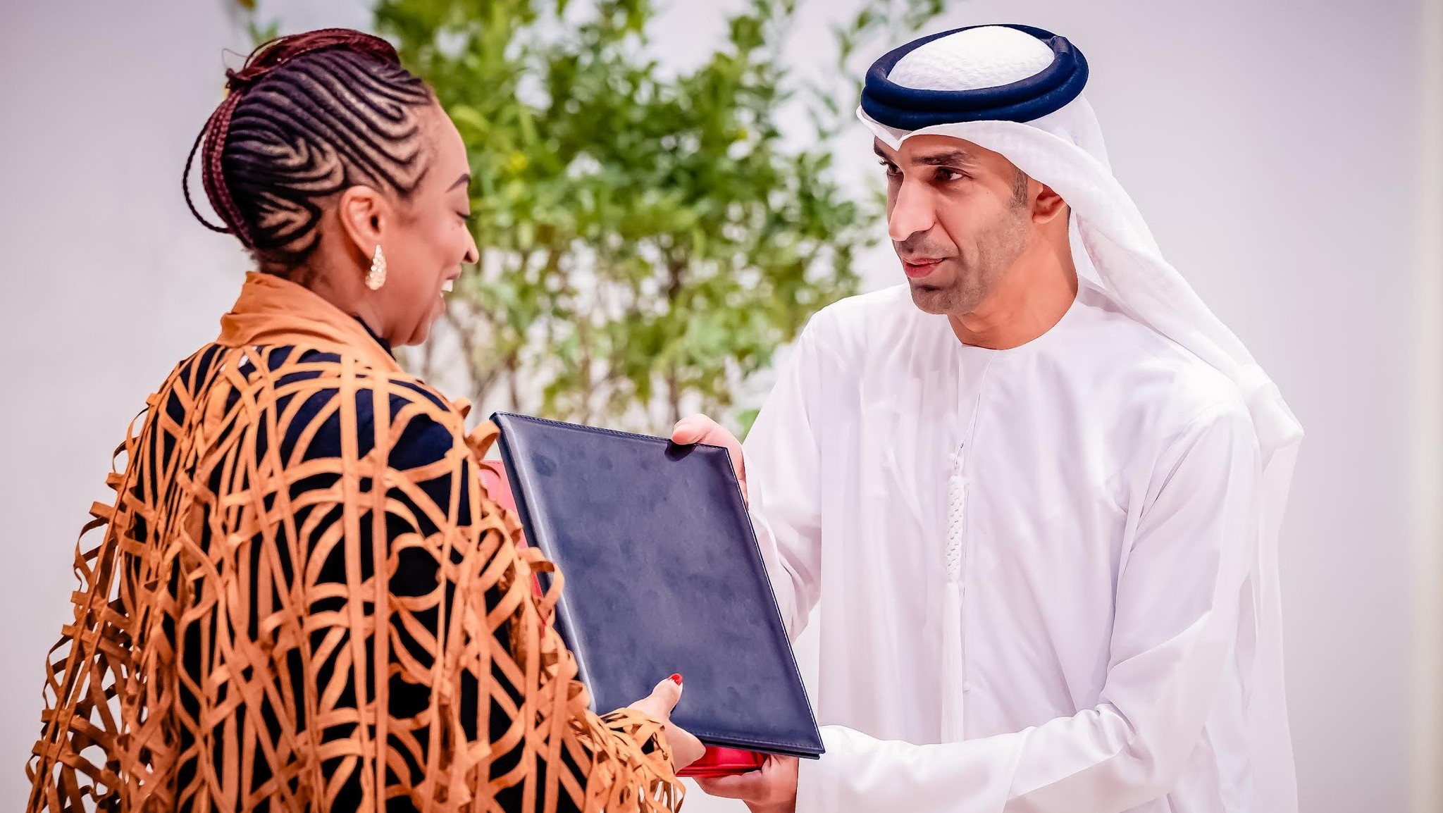 Why Nigeria seals Comprehensive Trade Agreement with UAE - Minister