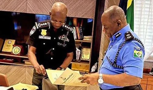 Tinubu okays Egbetokun’s Resignation, appoints Tunji Disu Acting IGP